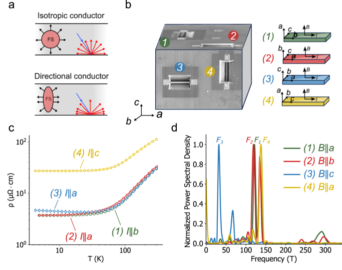 Orientation dependent resistivity scaling in mesoscopic NbP crystals