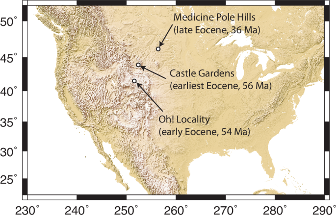 Persistent greenhouse conditions in Eocene North America point to lower climate sensitivity