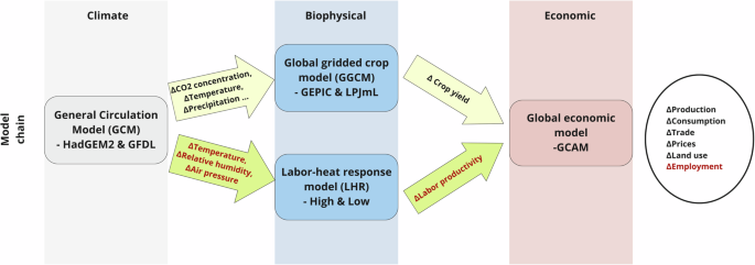 Omitting labor responses underestimates the effects of future heat stress on agriculture