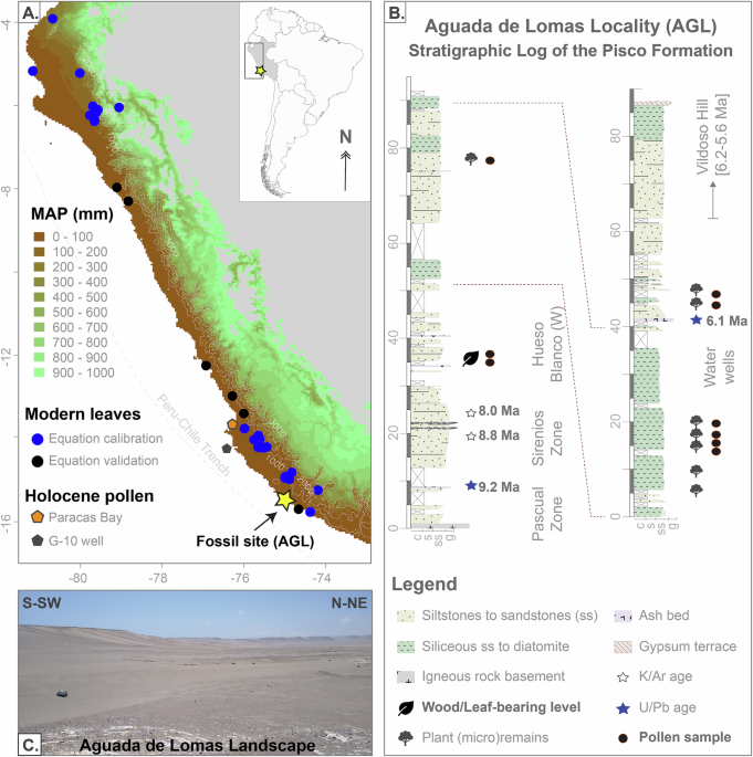 Late Miocene greening of the Peruvian Desert