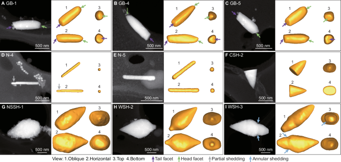 Three-dimensional structure, crystallography, and magnetism of giant magnetofossils