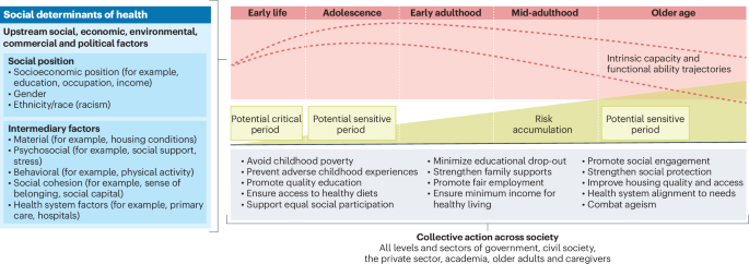 Life-course approaches are needed to foster equitable healthy aging