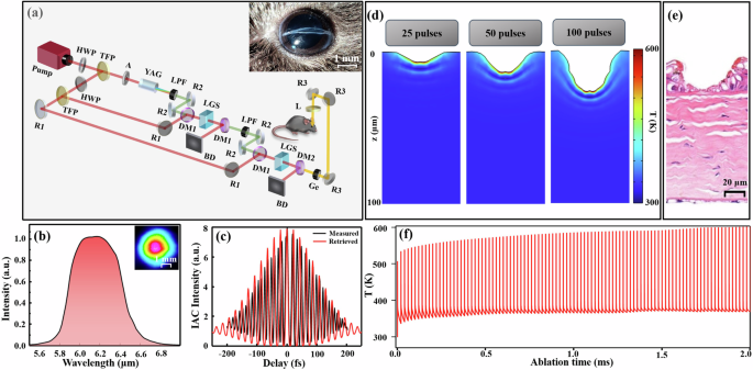 In vivo keratotomy by mid-infrared femtosecond laser resonant with amide vibrational mode