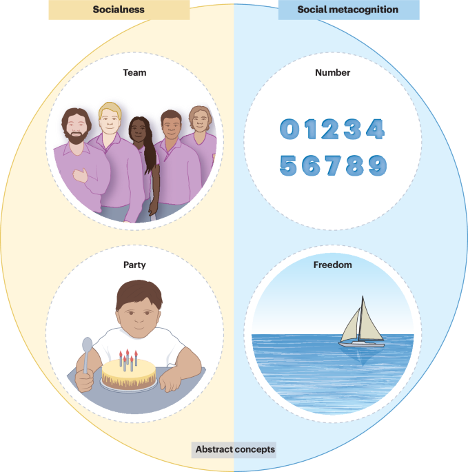 The role of social interaction in the formation and use of abstract concepts