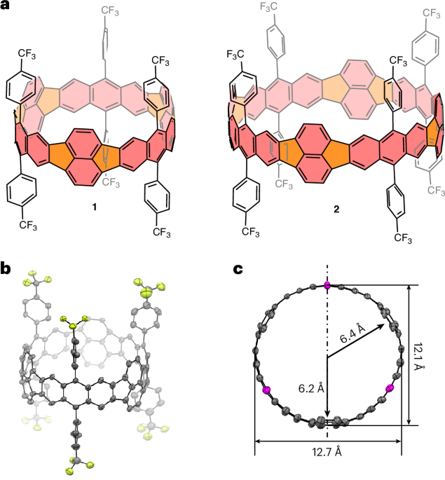 Embedding pentagonal rings to access fully π-conjugated carbon nanobelts