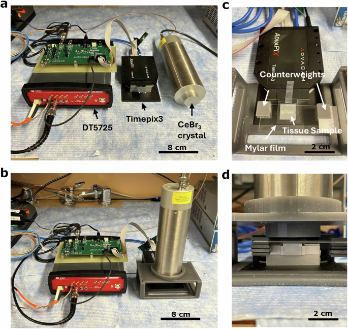 A Quantitative Particle Identification (QPID) spectral autoradiography system
