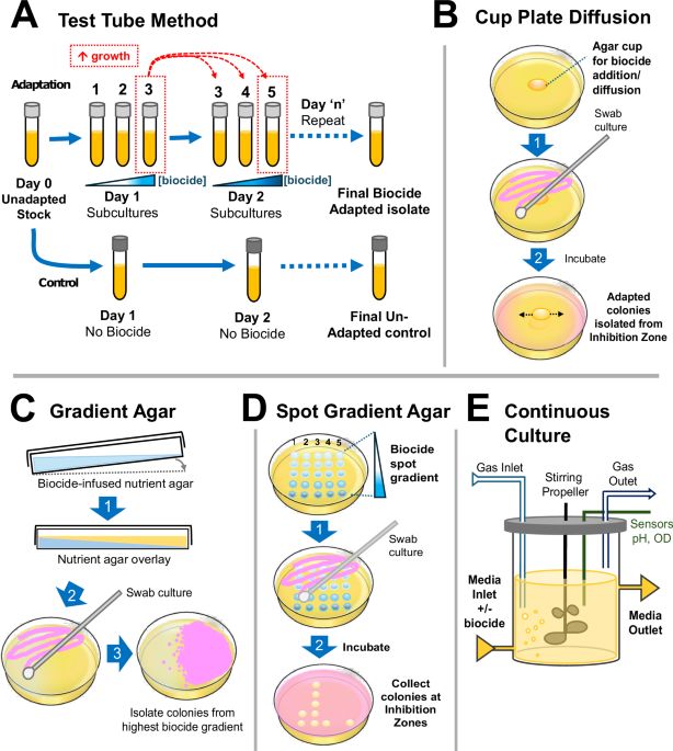 Reviewing the complexities of bacterial biocide susceptibility and in vitro biocide adaptation methodologies