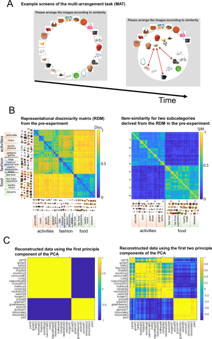 Feature identification learning both shapes and is shaped by spatial object-similarity representations