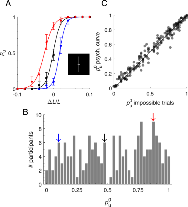 Stability and robustness of idiosyncratic choice bias