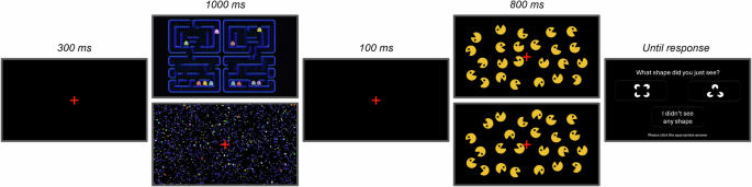 Semantic priming modulates the strength and direction of the Kanizsa illusion