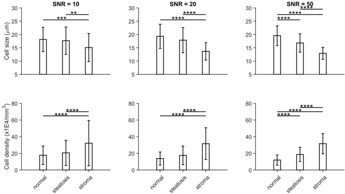 Noninvasive assessment of liver inflammation in metabolic dysfunction associated steatohepatitis using MR cytometry