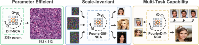Parameter-efficient diffusion with neural cellular automata