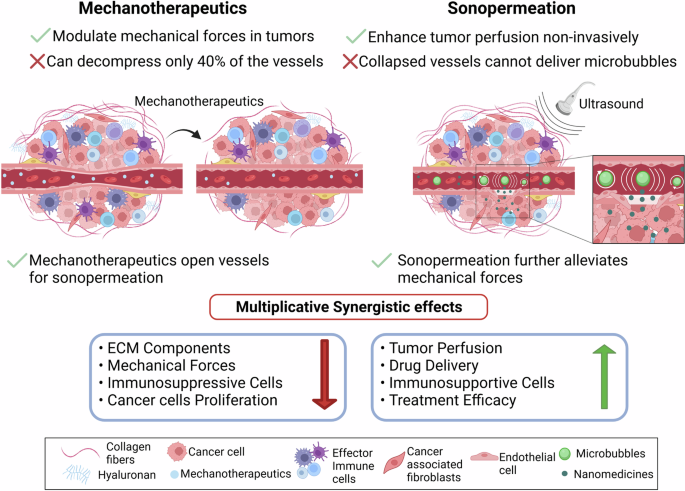 The synergistic potential of mechanotherapy and sonopermeation to enhance cancer treatment effectiveness