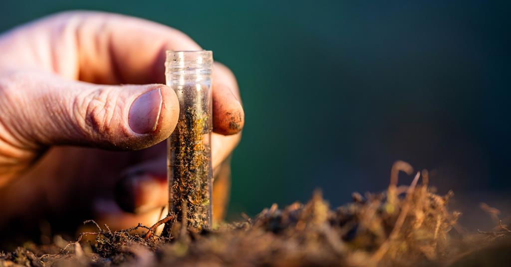 Way’s double silicates and what else he dug up from the soil | Opinion