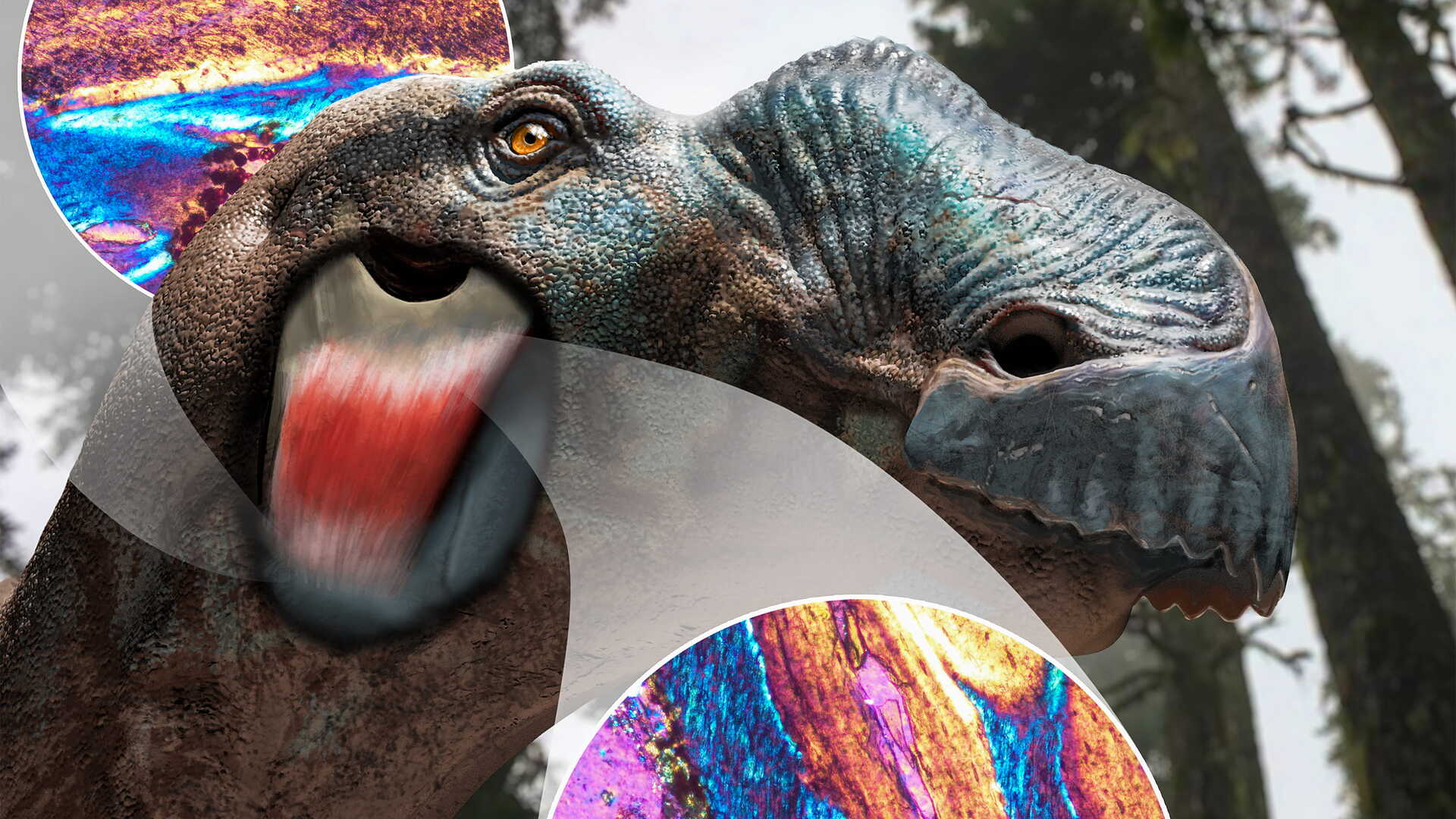 Cheeky find challenges old ideas about dinosaur facial anatomy