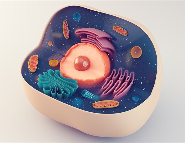 ISSCR and Harvard launch free online course on stem cell medicine