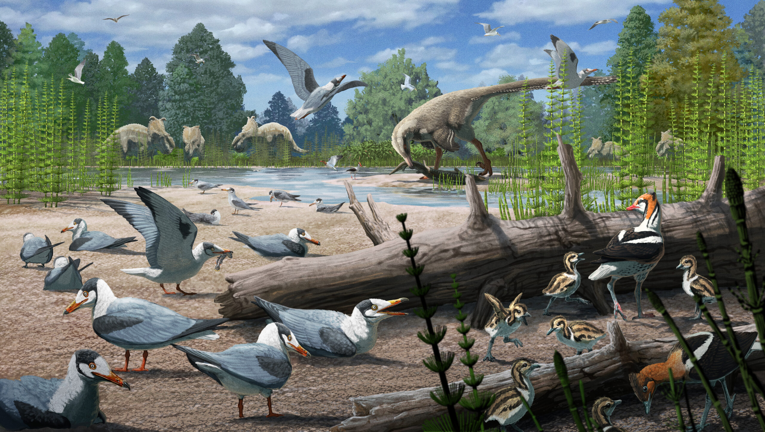 Birds Nested Alongside Dinosaurs in Alaska 73 Million Years Ago