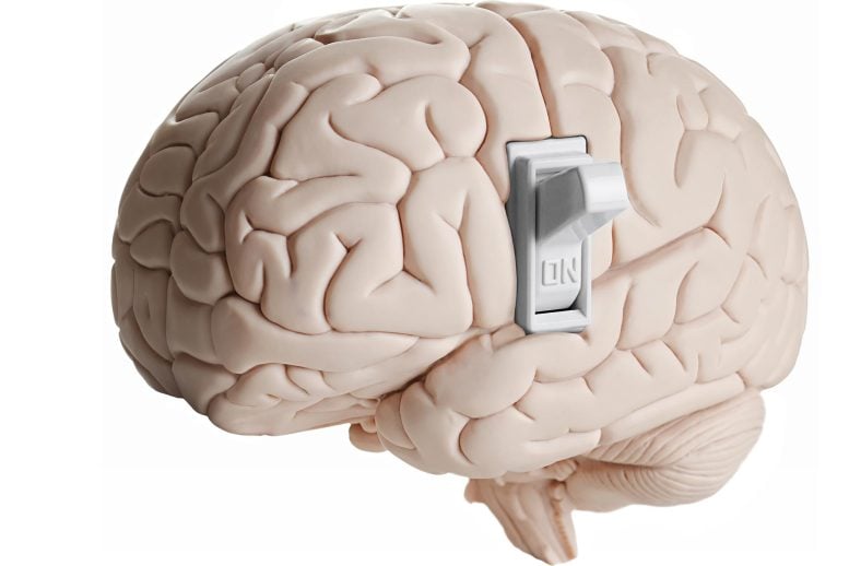 Brain Reset: One Molecular Switch Could Silence Alzheimer’s and Parkinson’s
