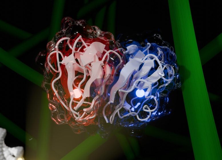 Turning Waste Into Energy: New Enzyme Revolutionizes Biofuel Production