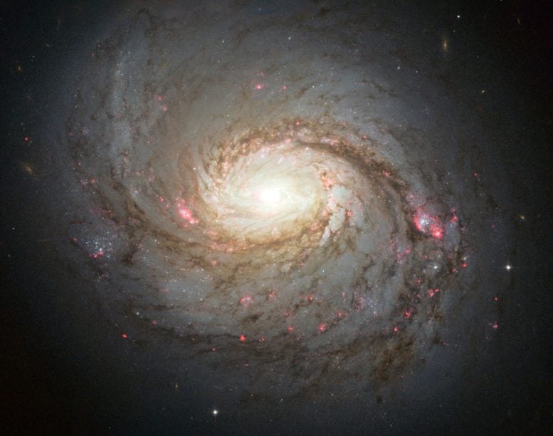 The Squid Galaxy’s Black Hole Just Unleashed a Neutrino Storm Without the Light