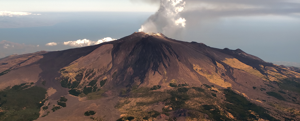 Trees May Be Able to Warn Us When a Volcano Is About to Erupt : ScienceAlert
