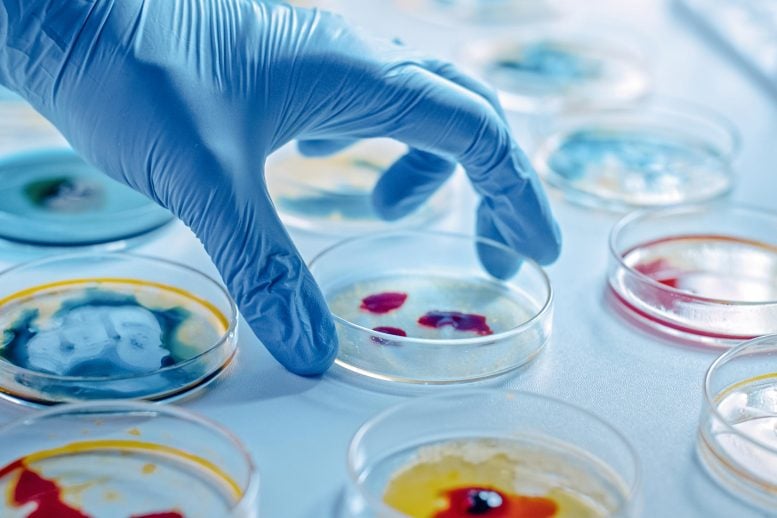 Microbiology Mystery: Why Do Most Microbes Die in Labs?