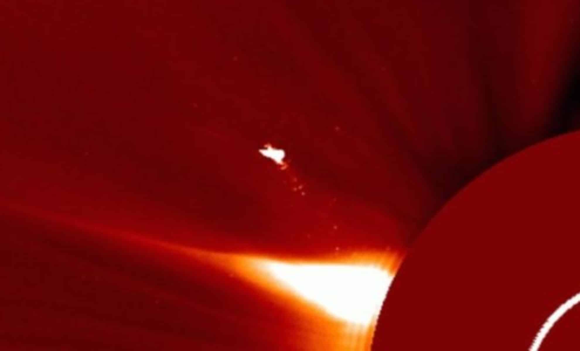 They Captured a Giant ‘Bird’ Near the Sun… Scientists Are Still Trying to Explain It