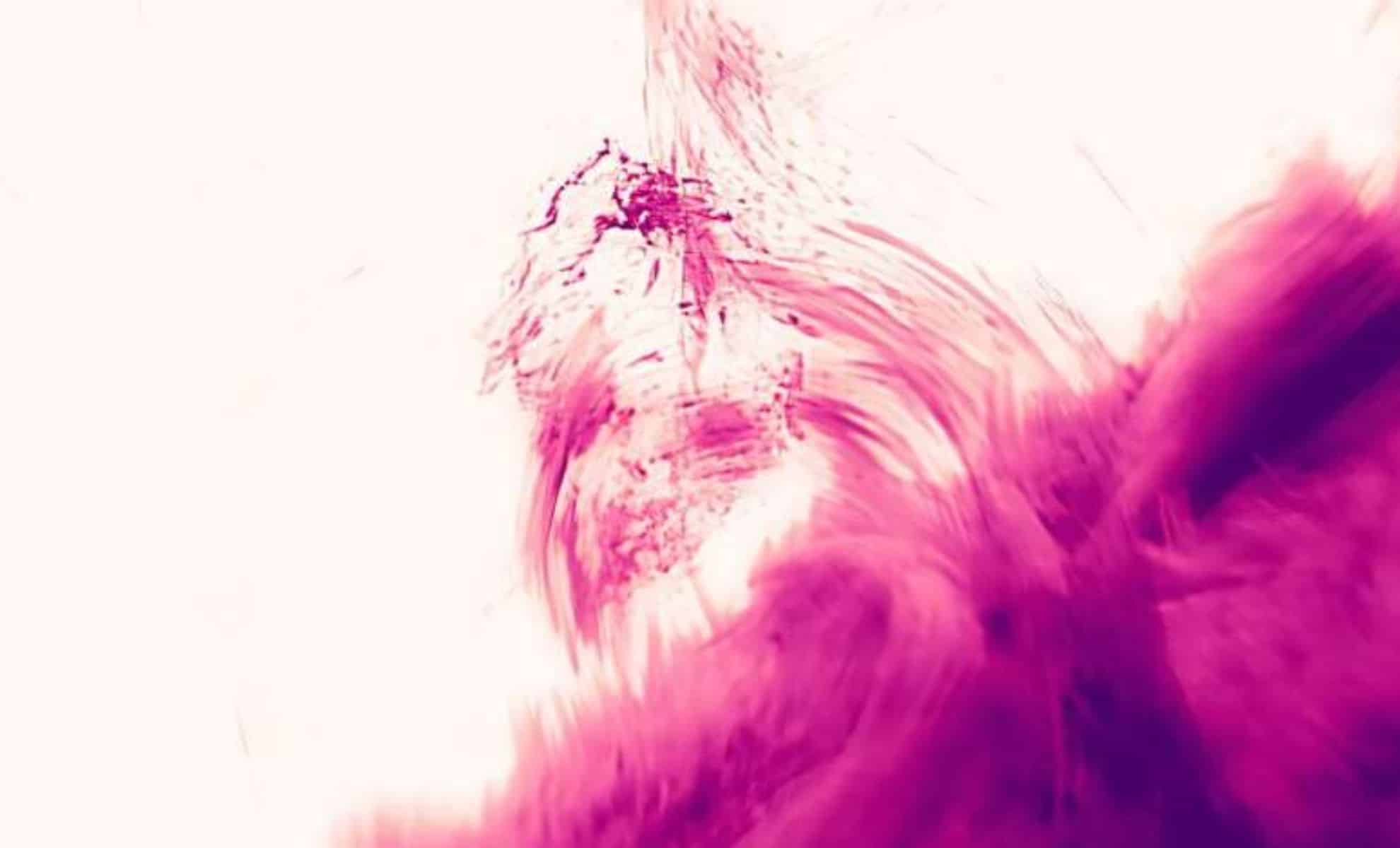They Pointed a Camera at the Sun… What They Saw Was Beyond Imagination