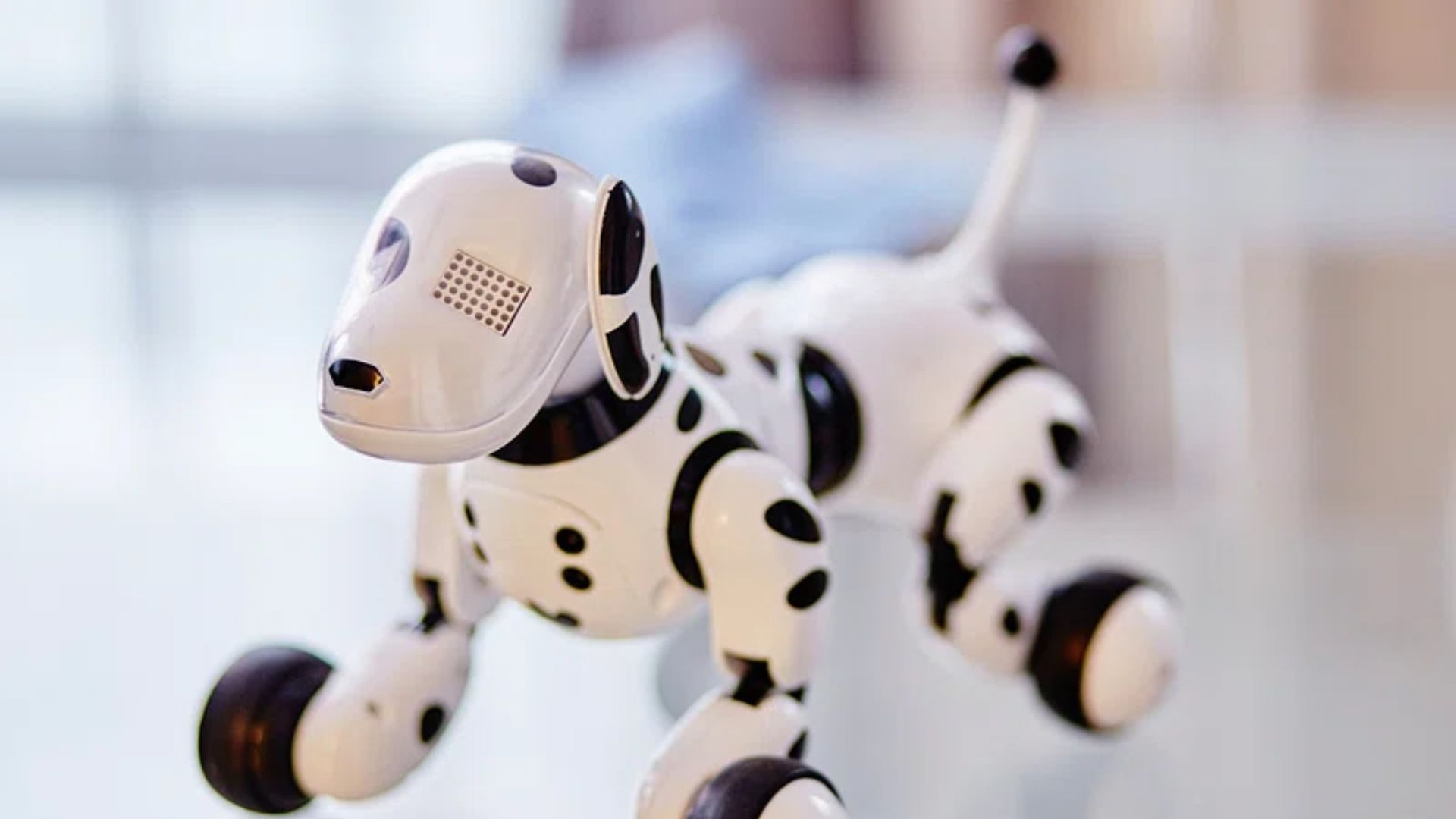 Inspired by horses, therapy robot design could boost emotional growth