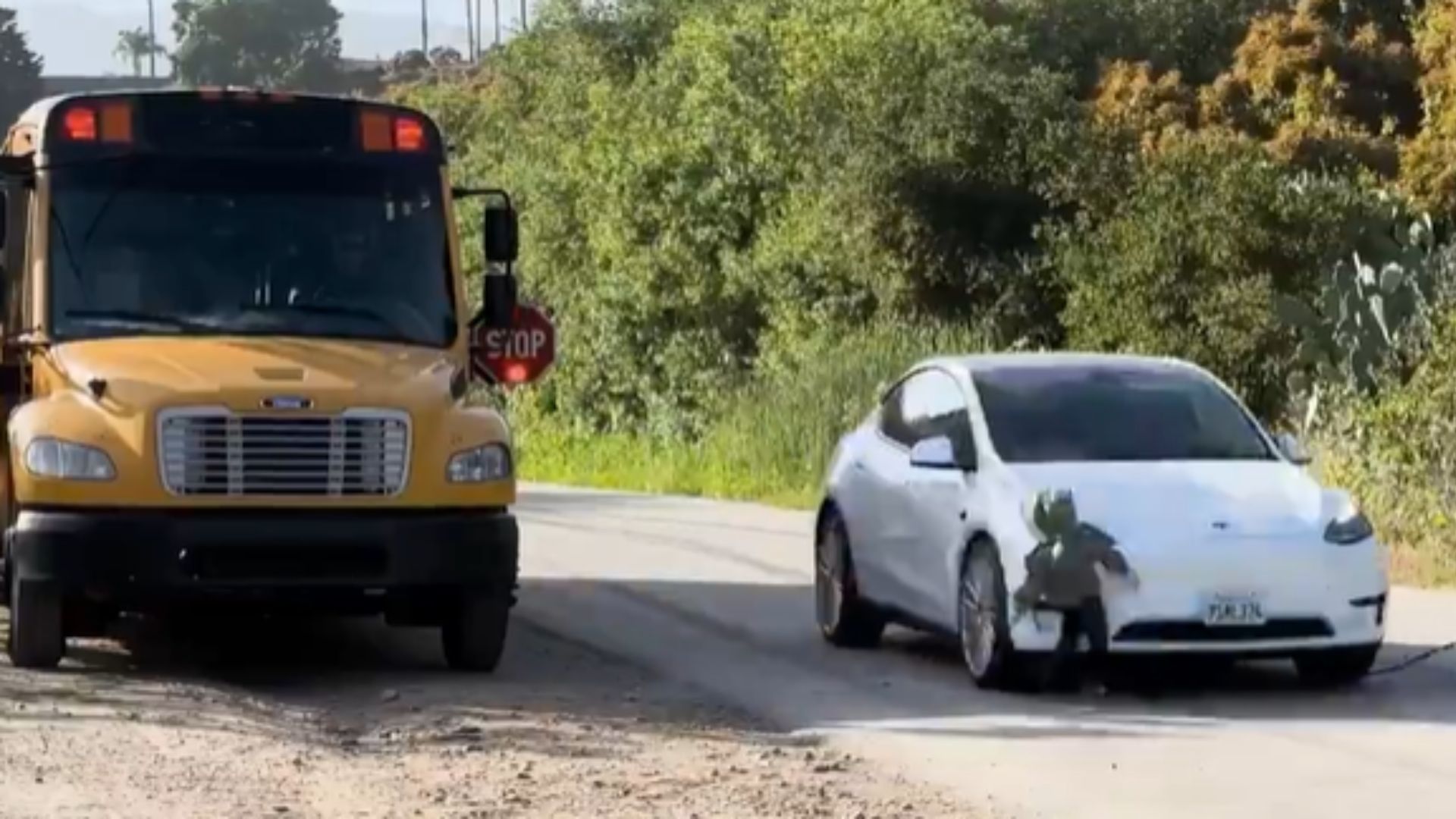 Tesla robotaxi tech hits child-size dummy in shocking new test