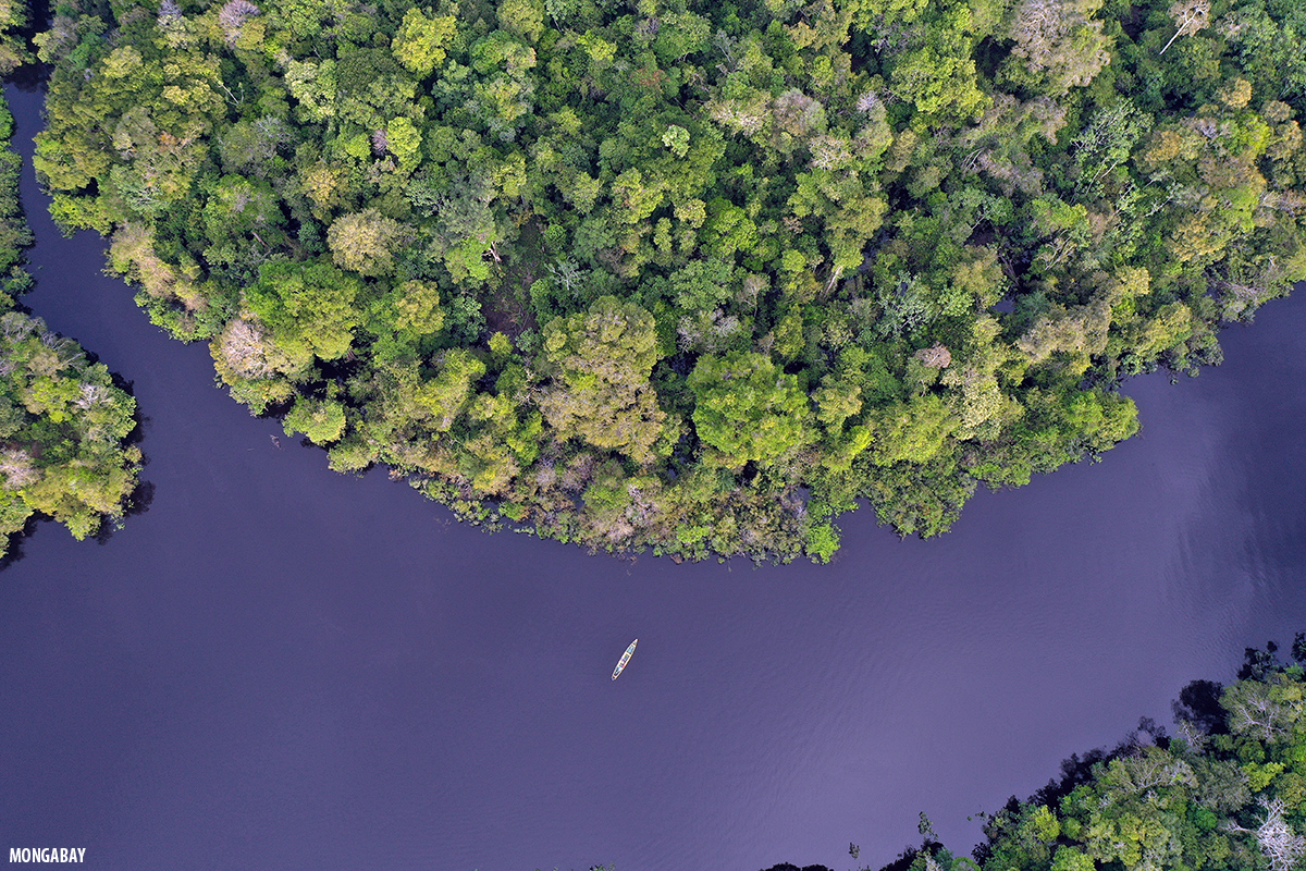 Indigenous lands & protected areas sequester nearly all Amazon carbon: Study