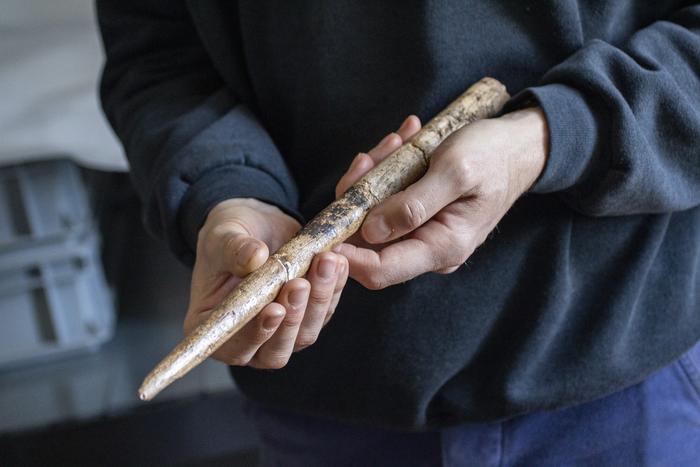 20,000-Year-Old Whale Bone Tools Discovered in Europe Considered World’s Oldest