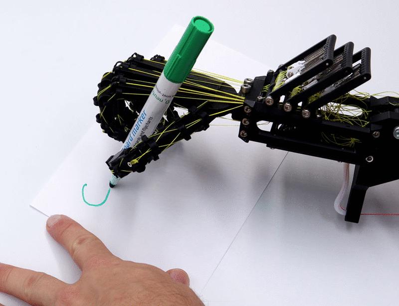 Embodied manipulation with past and future morphologies through an open parametric hand design | Science Robotics