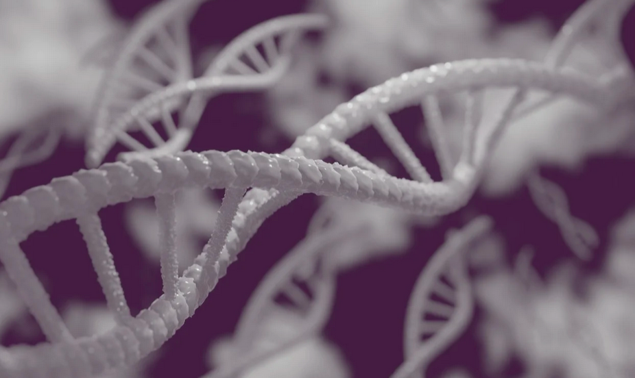 Expanding What We Know About Autism Genetics