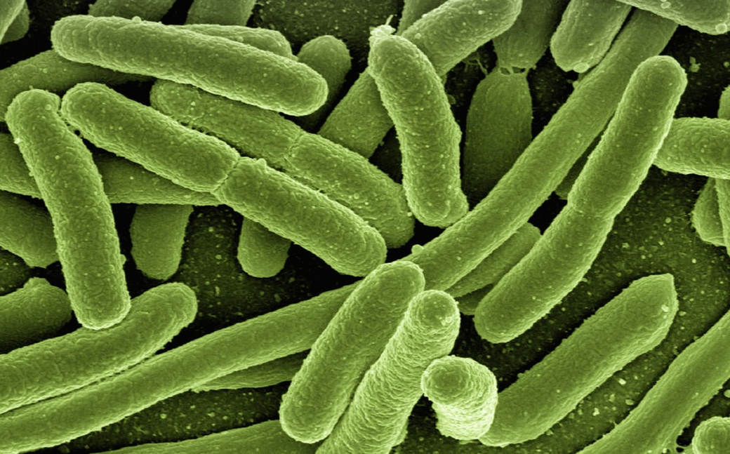 Is a Bacterial Toxin to Blame for Increased Early-Onset Colorectal Cancer Rates?