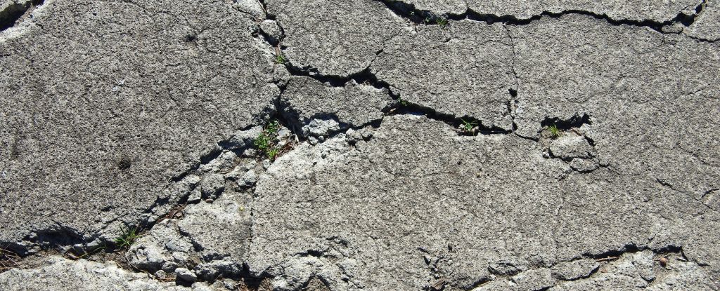 Scientists Developed a Kind of ‘Living Concrete’ That Heals Its Own Cracks : ScienceAlert