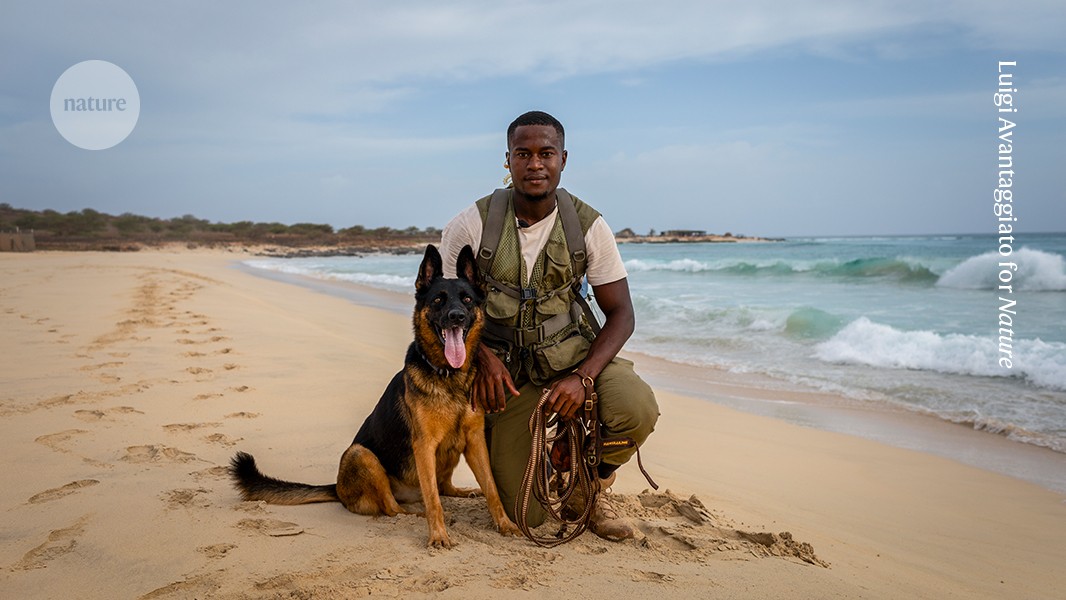 People and dogs team up to protect sea turtles in Cabo Verde
