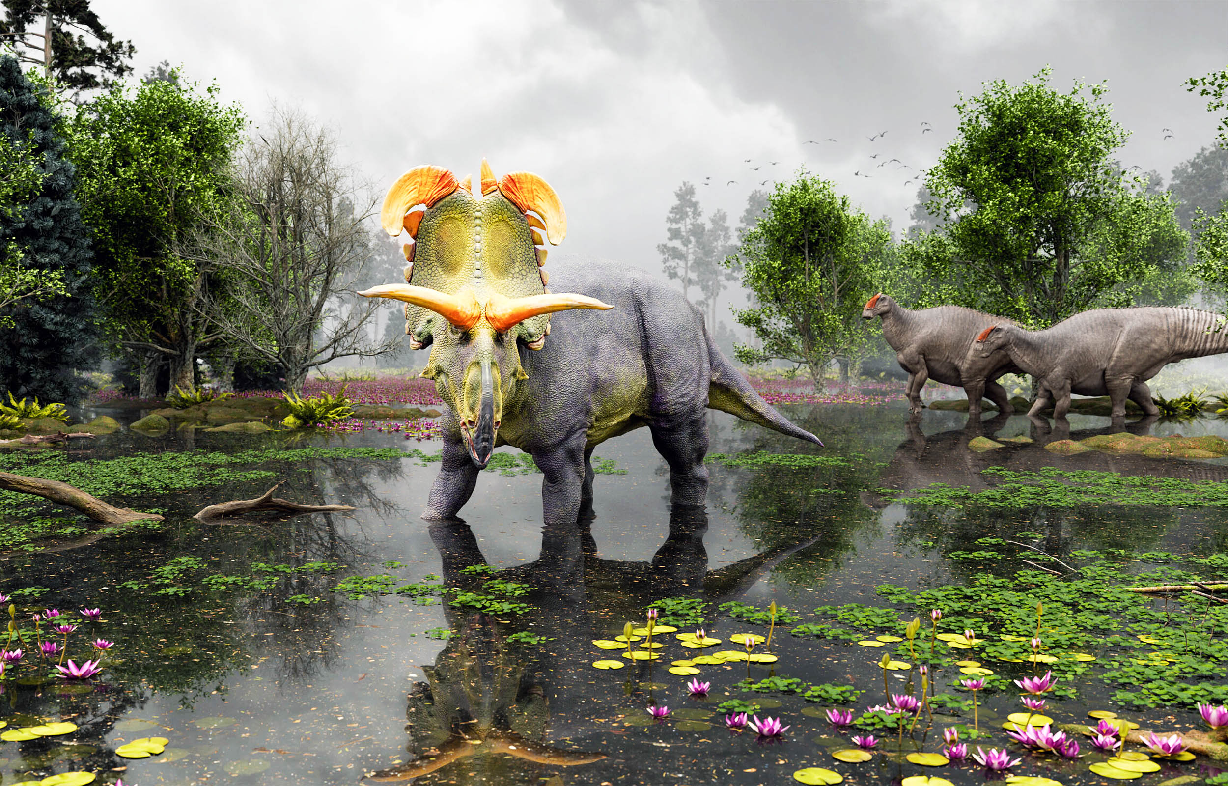 New horned dinosaur is “largest and most ornate” ever found