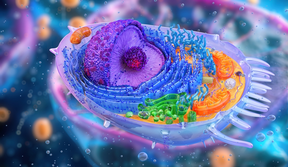 This Detailed Map of a Human Cell Could Help Us Understand How Cancer Develops