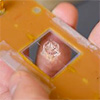New biosensor solves old quantum riddle