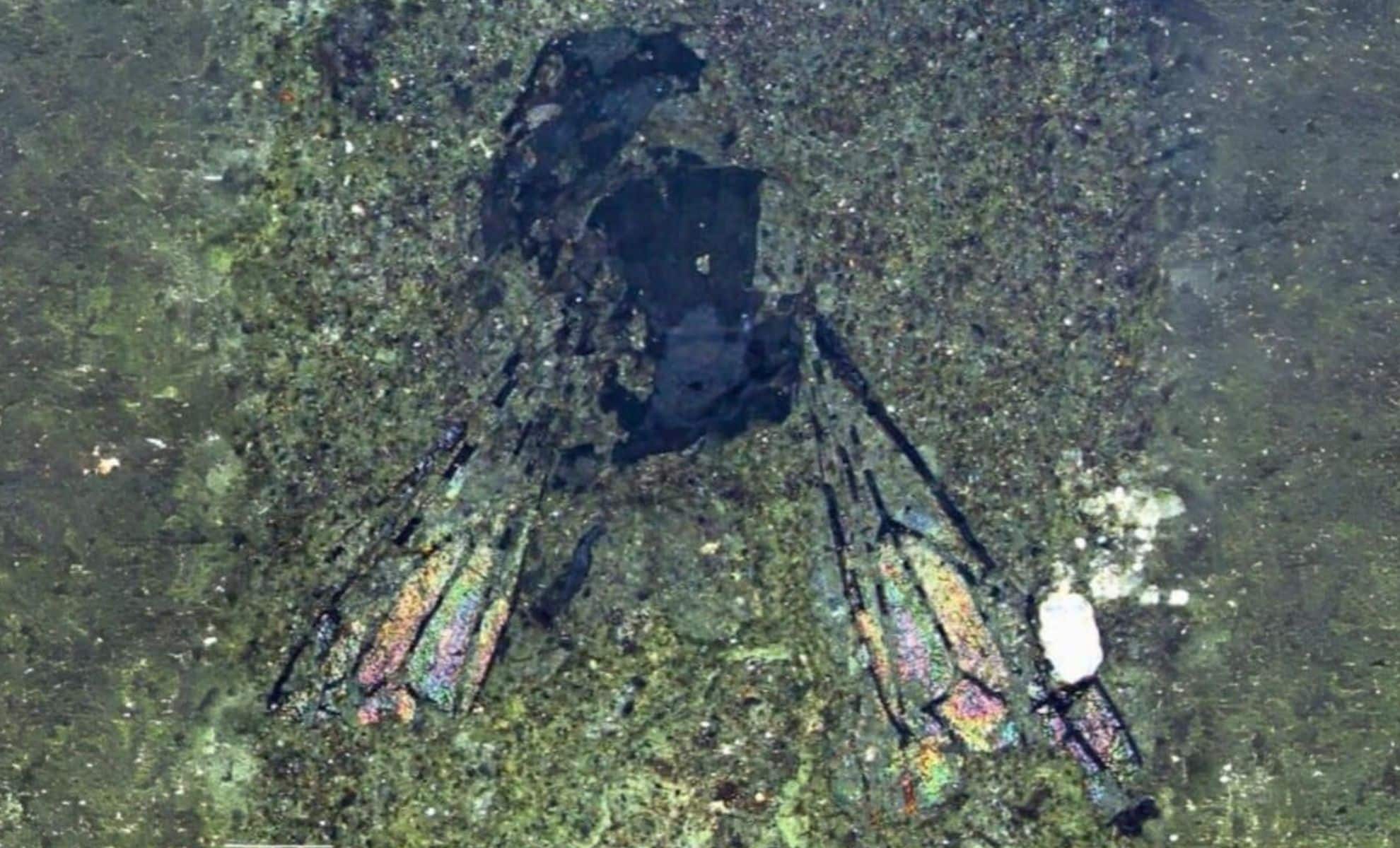 Scientists Unearth a Perfectly Preserved 14.6-Million-Year-Old “Bee Fossil” That Shouldn’t Exist