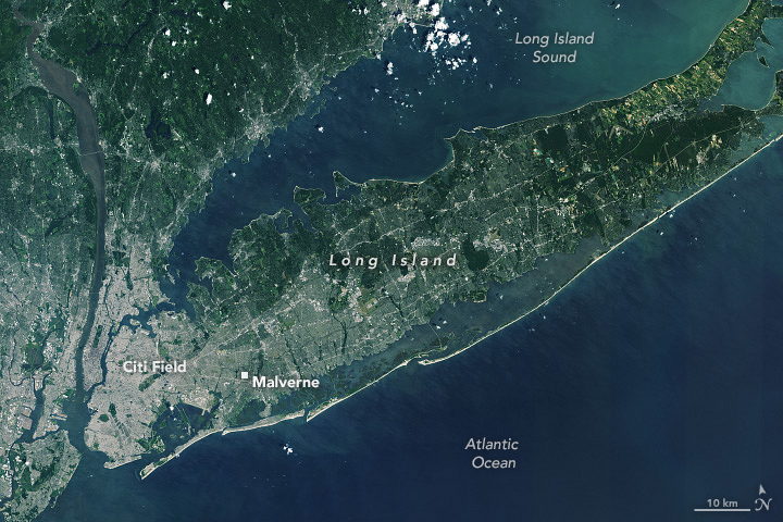 Celebrating a Long Career With Roots on Long Island