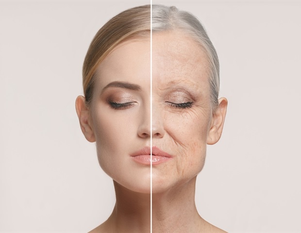 Rethinking the mitochondrial theory of aging