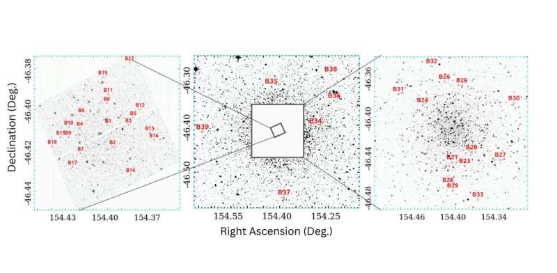 Spectroscopic study inspects blue straggler stars in NGC 3201