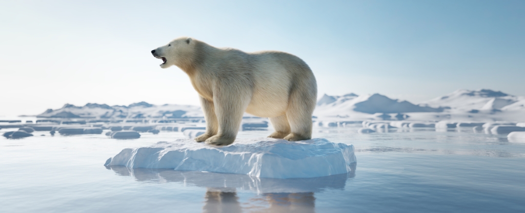 High Odds We’ll Exceed 1.5°C Temp Rise by 2029 : ScienceAlert