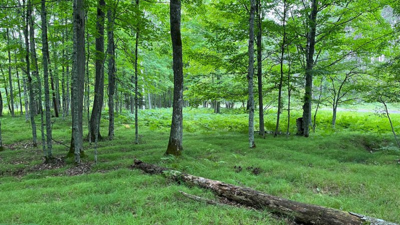 Precolonial farmers thrived in one of North America’s coldest places