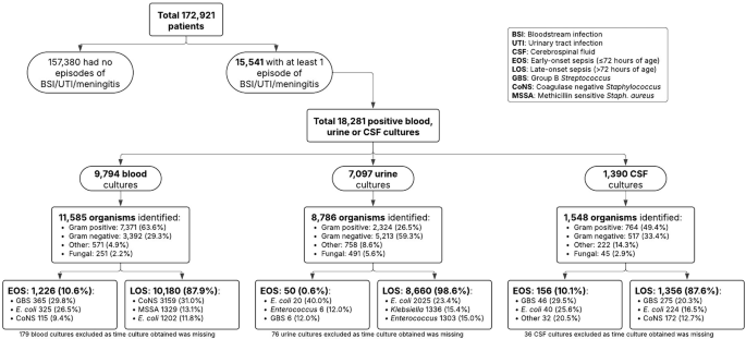 Epidemiology of bacterial and fungal infections among level IV neonatal units in North America