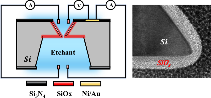 Investigation on fabrication of silicon nanopores using an electrochemical passivation etch-stop strategy
