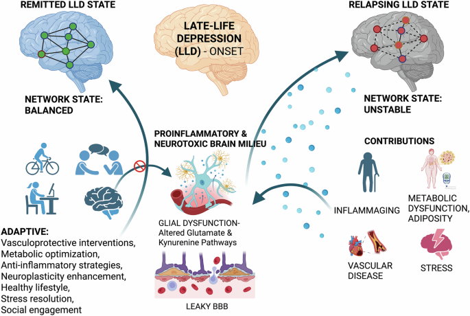 The new normal: neural network adaptations in late-life depression
