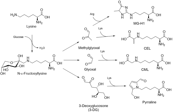 Sex-specific differences of advanced glycation end products in diabetes